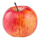 Bio Äpfel Cox Orange von Natur.com