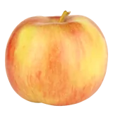Bio Äpfel 