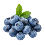 Bio Blaubeeren von Natur.com