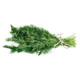 Produktbild: Dill (Bund)