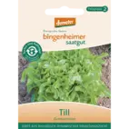 Bio Eichblattsalat 