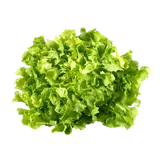 Produktbild: Endivien