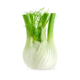 Bio Fenchel von Natur.com