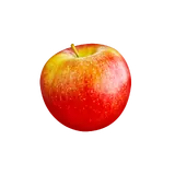 Bio Früh-Äpfel 
