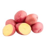 Bio Frühkartoffeln 