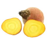 Bio Gelbe Bete von Natur.com