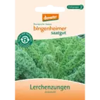 Bio Grünkohl 