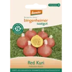 Bio Hokkaido-Kürbis 