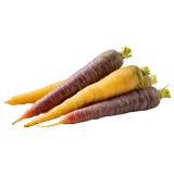 Produktbild: Karotten, bunt