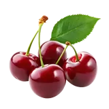 Bio Kirschen von Natur.com