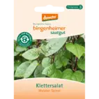 Bio Klettersalat 