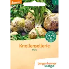 Bio Knollensellerie 