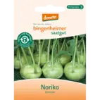 Bio Kohlrabi 