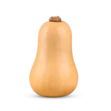 Bio Kürbis Butternut von Natur.com