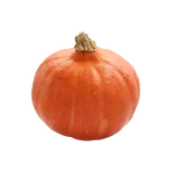 Bio Kürbis 