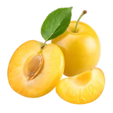 Bio Mirabellen von Natur.com