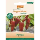 Produktbild: Paprika 