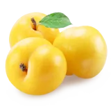 Bio Pflaumen, gelb von Natur.com