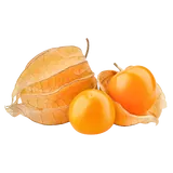 Bio Physalis von Natur.com
