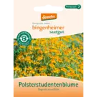 Bio Polsterstudentenblume von Natur.com