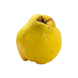 Bio Quitten von Natur.com