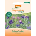 Bio Schopfsalbei von Natur.com