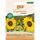 Bio Sonnenblume 