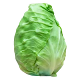 Produktbild: Spitzkohl