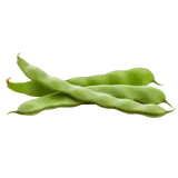 Bio Stangenbohnen von Natur.com