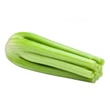 Produktbild: Stangensellerie