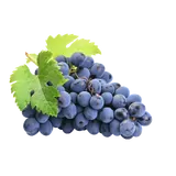 Produktbild: Trauben, blau, kernlos