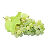 Bio Trauben, weiß, kernlos von Natur.com