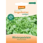 Bio Winterpostelein von Natur.com