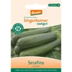 Bio Zucchini 