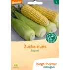 Bio Zuckermais 