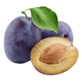 Bio Zwetschgen von Natur.com