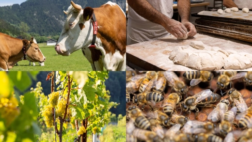 Naturland-zertifiziertes Produkte aus ökologischem Landbau