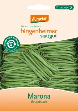 Bio-Buschbohnen Marona Saatgut - jetzt online kaufen bei Natur.com