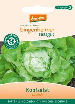 Bio-Kopfsalat Lucinde Saatgut - jetzt online kaufen bei Natur.com
