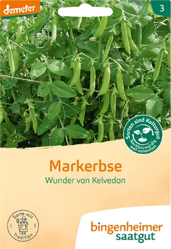 Bio-Markerbsen Wunder von Kelvedon Saatgut - jetzt online kaufen bei Natur.com