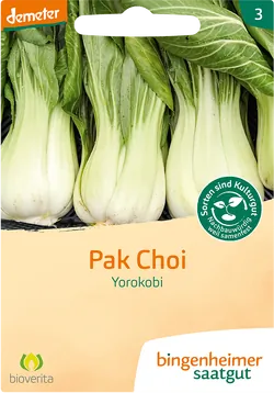 Bio-Pak-Choi-Saatgut Yorokobi - jetzt online kaufen bei Natur.com