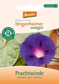 Bio-Prachtwinde Saatgut - jetzt online kaufen bei Natur.com