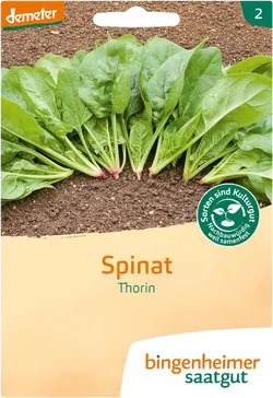 Bio-Spinat Thorin Saatgut - jetzt online kaufen bei Natur.com