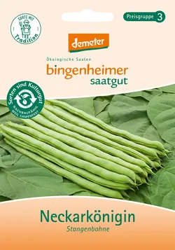 Bio-Stangenbohnen Neckarkönigin Saatgut - jetzt online kaufen bei Natur.com
