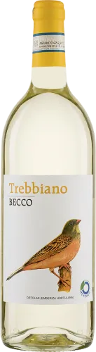 Bio-Trebbiano d'Abruzzo BECCO DOC - jetzt online kaufen bei Natur.com