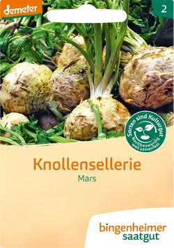 Bio-Knollensellerie Mars Saatgut - jetzt online kaufen bei Natur.com
