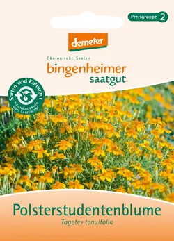 Bio-Polsterstudentenblume Saatgut - jetzt online kaufen bei Natur.com