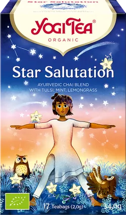 Bio-Yogi-Tee Star Salutation - jetzt online kaufen bei Natur.com