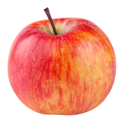 Bio-Apfel Cox Orange - jetzt online kaufen bei Natur.com