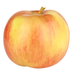 Frischer Bio-Apfel Jonagold - jetzt online kaufen bei Natur.com